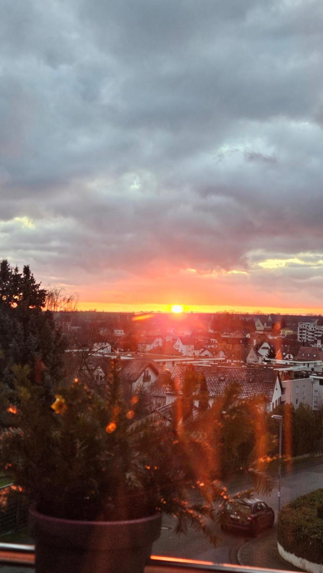 Appartement An Der Weinstrasse Bad Bergzabern Exteriér fotografie